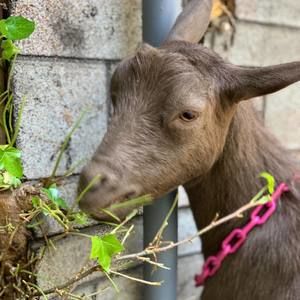 Meet your Posher, Bonnie